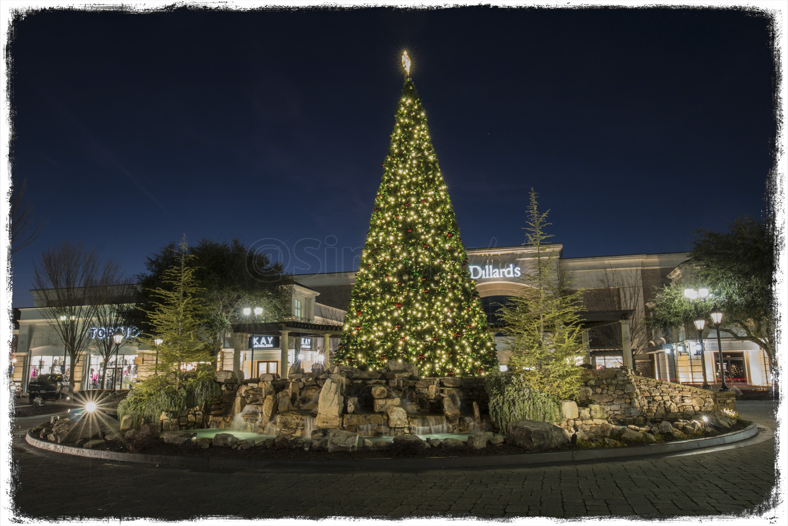 48 foot sobre-nos Christmas Tree